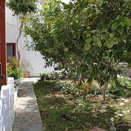 Helios Serifos Livadi  Exteriér fotografie